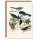 image 1 of John James Audubon Art Card Magpie Clarks Crow and Jays