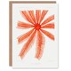 image 1 of Vintage Marine Life Art Card Brisingida Starfish Illustration