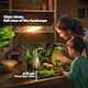 image 7 of PawHut 24L Glass Terrarium, Reptile Vivarium with Stone Background, Black