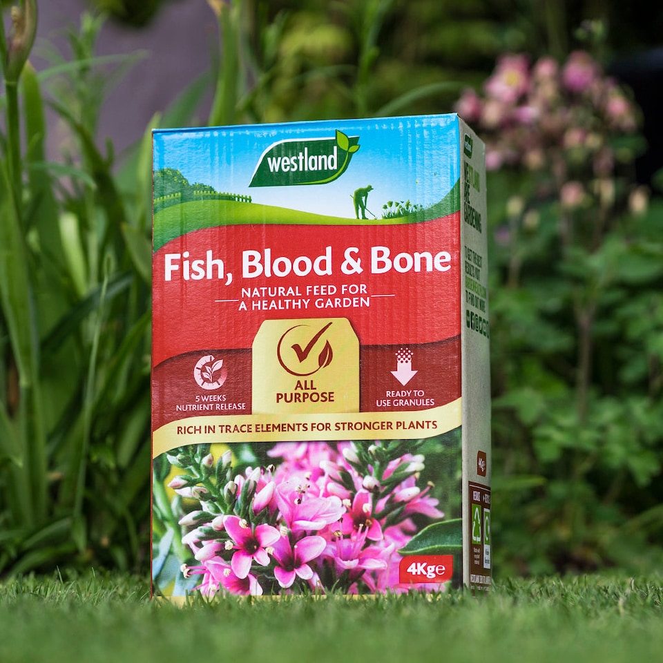 image 1 of Westland Fish, Blood & Bone Natural Plant Food Fertiliser NPK 3-9-3 8kg bucket