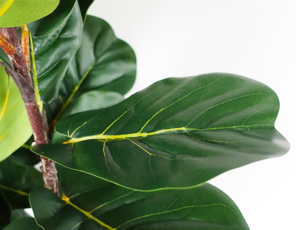 image 1 of 120cm Premium Artificial Fiddle Fig Tree | Green | 4ft