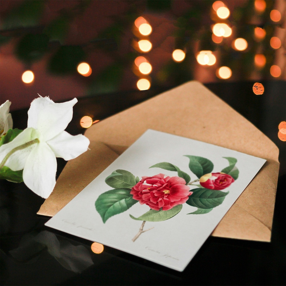 image 1 of Pierre-Joseph Redouté Art Card Camelia Vintage Floral Illustration