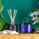 image 8 of Nicola Spring Reed Diffuser - 200ml - Patchouli & Rosewood
