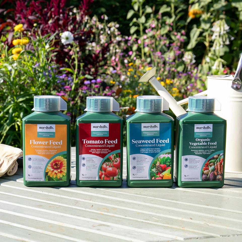 image 1 of Marshalls Garden Organic Liquid Flower Feed 1 Litre