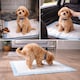 image 2 of Actiaspet Puppy Training Pads 60cm x 45cm – Heavy Duty Absorbent Dog & Cat Toilet Pads – Leak Resistant Pet Training Mats