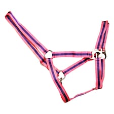 Hy Duo Head Collar - Pink/Purple - Full
