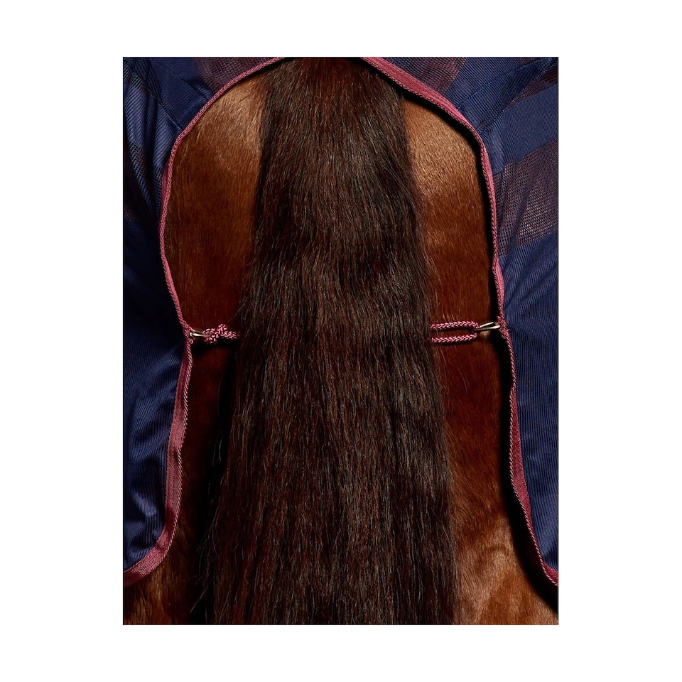 image 1 of Weatherbeeta Scrim Standard-Neck Horse Cooler Rug | Red | Navy/Burgundy | 7Ft | 1