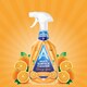 image 1 of Multi-Surface Cleaner Orange Grove