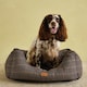 image 4 of Rosewood Joules Hensen Check Box Dog Bed | Multi | S | 1