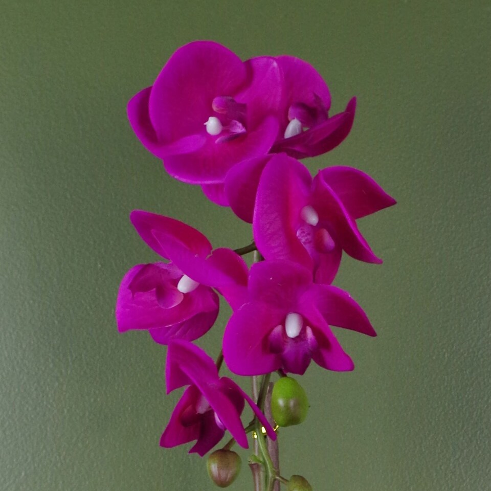 image 1 of 46cm Artificial Orchid Dark Pink / Gold