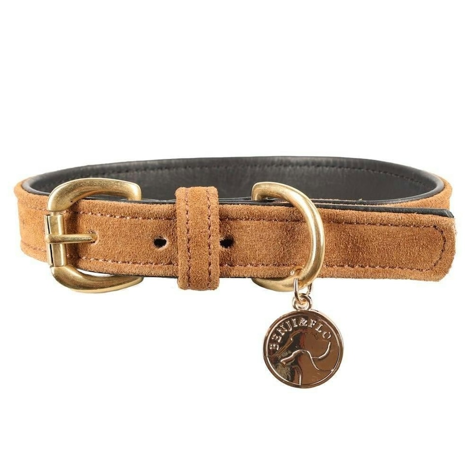 image 1 of Benji & Flo Noble Suede Dog Collar - Tan/Gold - XL