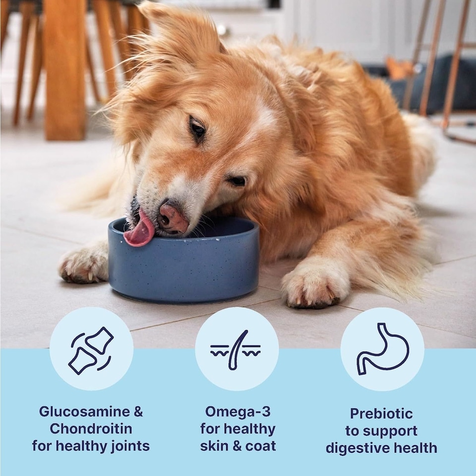 image 1 of 2kg Tails.com Inner Vitality Medium & Large Adult Dry Dog Food Kibble Chicken