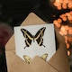 image 3 of Sherman Denton Art Card Giant Swallowtail Butterfly
