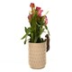 image 3 of Basset Hound Plant Pot Hanger - L11 x W5.5 x H4.5 cm