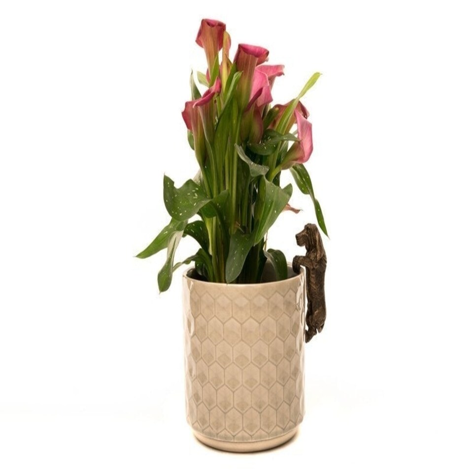 image 1 of Basset Hound Plant Pot Hanger - L11 x W5.5 x H4.5 cm