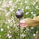 image 4 of Recycled Iron Poppy Seed Head Garden Stake Decoration