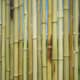 image 2 of Primrose Bamboo Screening Roll Fencing Thick Carbonised Black 5m x 2m