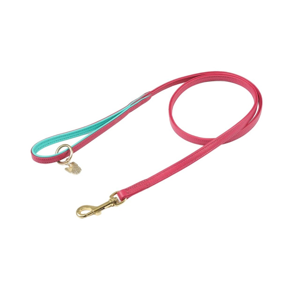 Digby & Fox Leather Padded Dog Lead - Pink - 1.5cm