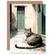 image 1 of Sunbathing Cobblestone Street Cat Birthday Card