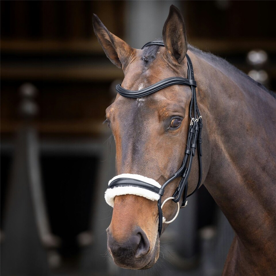 image 1 of Shires Velociti Rapida Rolled Fleece Noseband Brown | Size: Cob
Colour: H.Brown