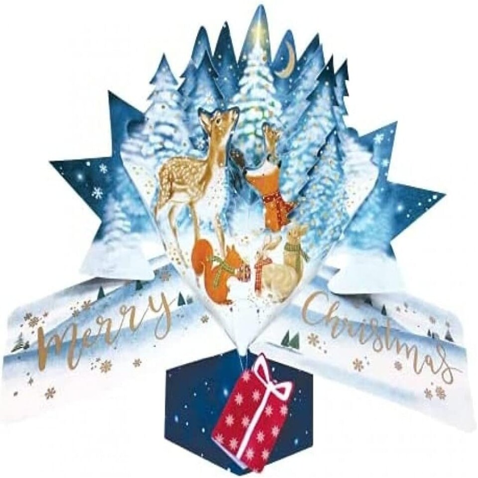 image 1 of Woodland Animals 3D Pop Up Christmas Card
