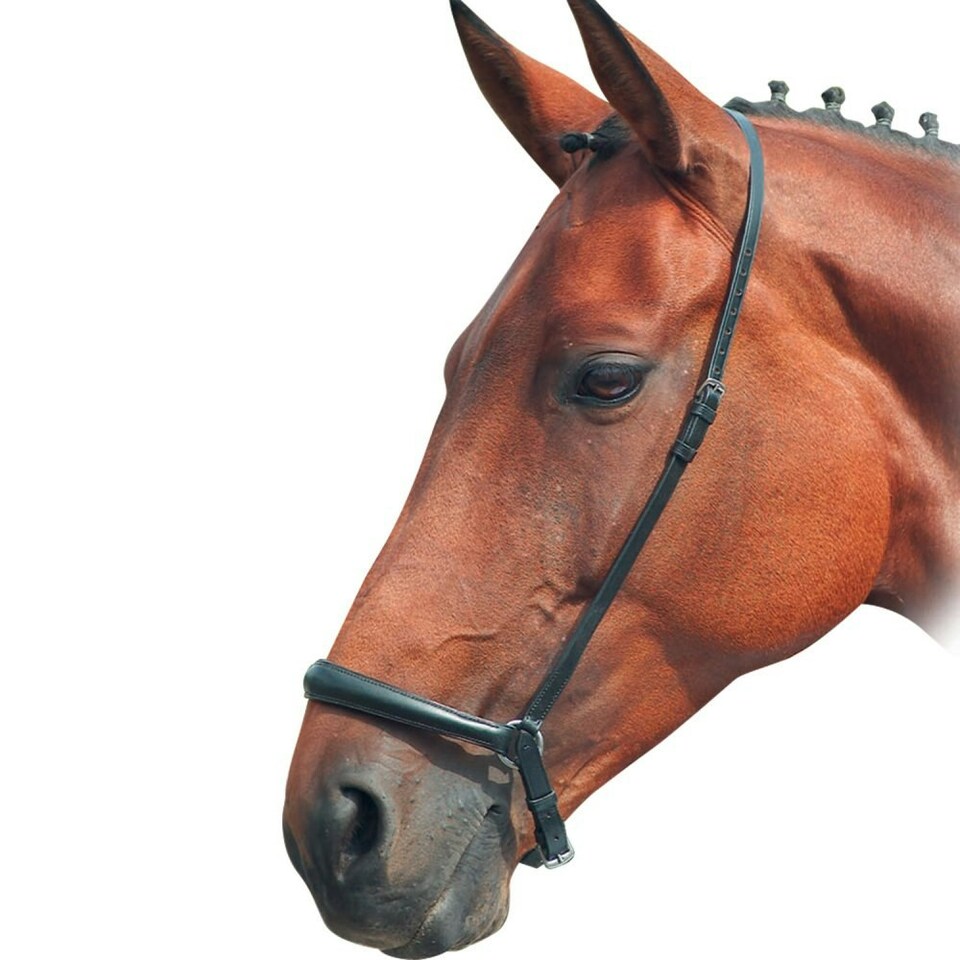 Blenheim Leather Horse Drop Noseband - Black - Pony