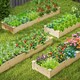 image 5 of COSTWAY Wooden Raised Garden Bed Elevated Planting Bed N/A