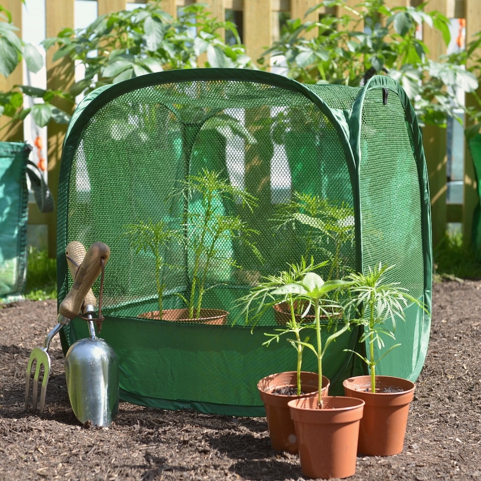 image 1 of GardenSkill Pop-Up Mini Net Plant Cover for Seedling & Flower - Garden Netting Grow House Cloche - Stops Birds, Insects - 2 Pack
