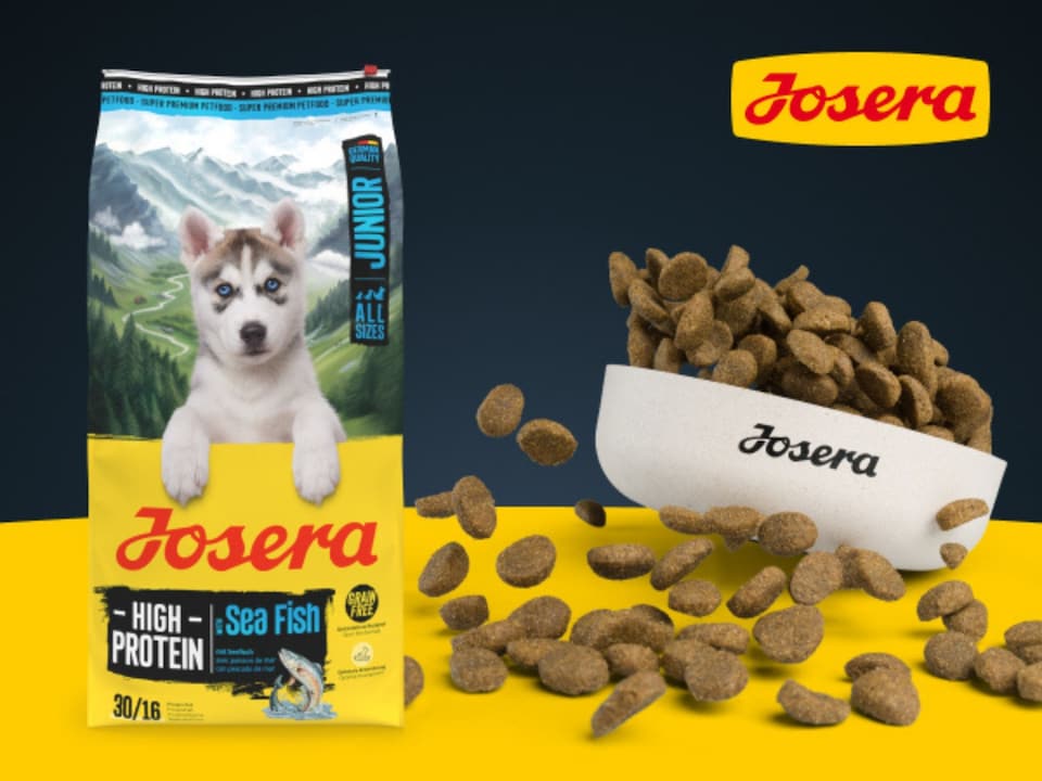 image 1 of Josera High Protein Junior Sea Fish complete dry food | For active puppies & young dogs | All breeds | Grain-free | Lots of Salmon & Lamb | 3x3kg