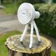 image 5 of Breeze DF2010 Rechargeable Mini Tripod Fan