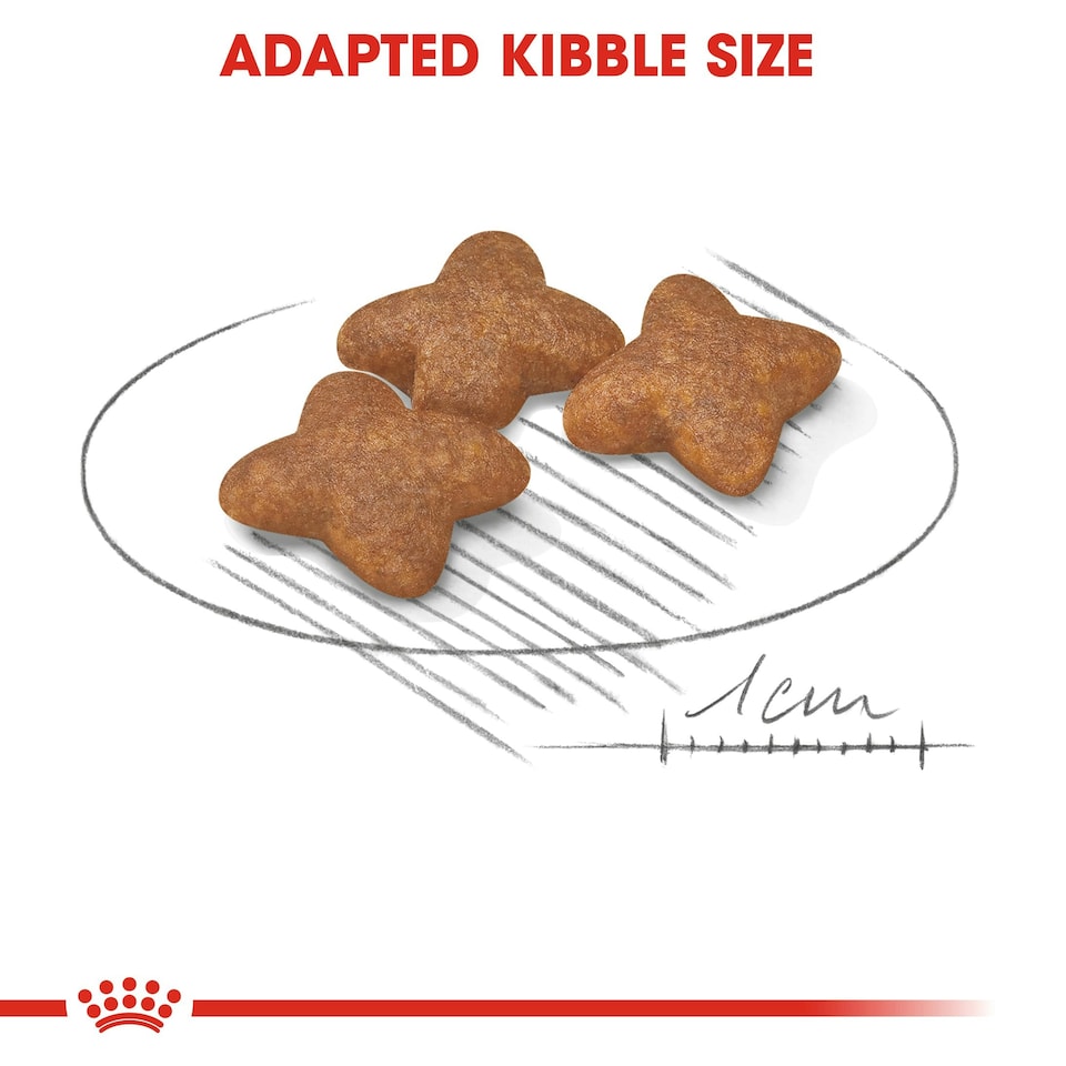 image 1 of ROYAL CANIN® Mini Adult Dry Dog Food N/A | Size: 2kg