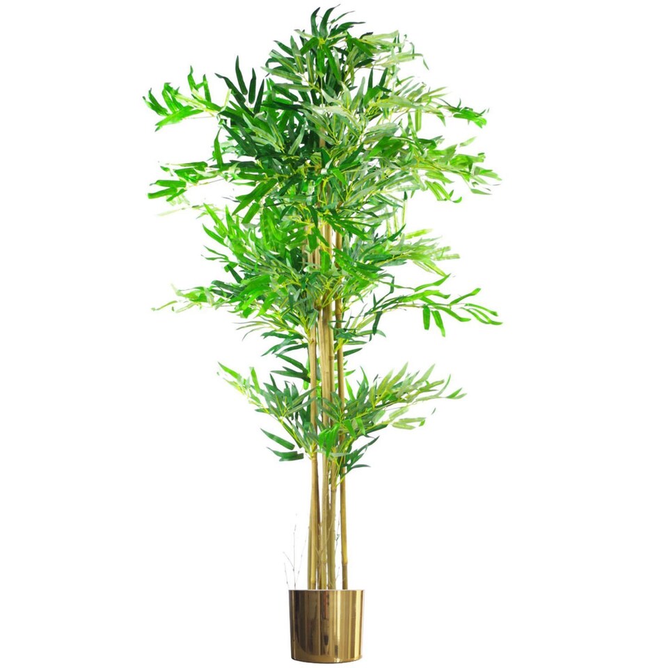 image 1 of 150cm (5ft) Natural Look Artificial Bamboo Plants Trees - XL with Gold Metal Planter | Green | 5ft