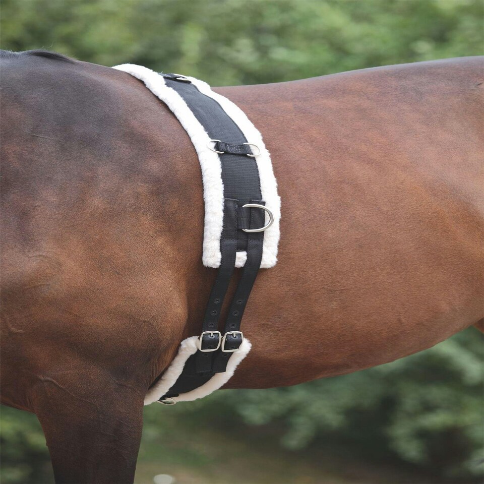 image 1 of Shires Nylon Roller With Fleece Padding Black | Size: Full
Colour: Black