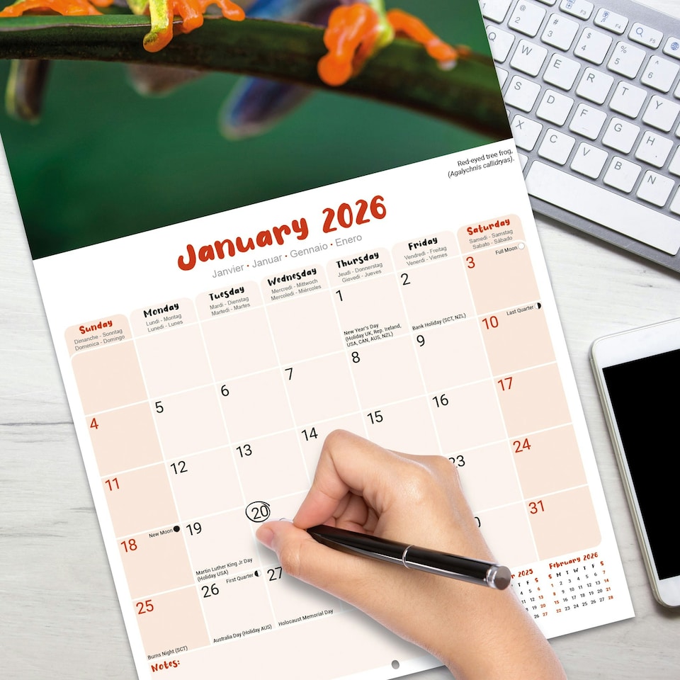 image 1 of Frogs 2026 Calendar | Square Wall Calendar | Reptile Gift | Plastic Free Packaging | by Avonside Publishing