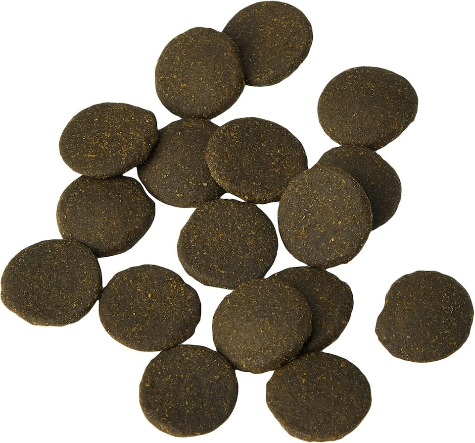 image 1 of King British Algae Wafer, 40g | Multi | 1