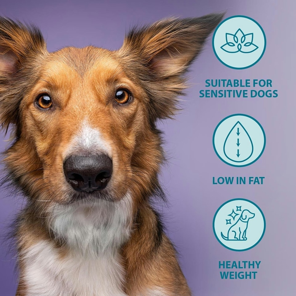 image 1 of Burns Weight Control Chicken & Oats Adult & Senior Dry Dog Food - 6 kg