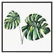 image 2 of Twin tropical leaves (Picutre Frame) White | XS