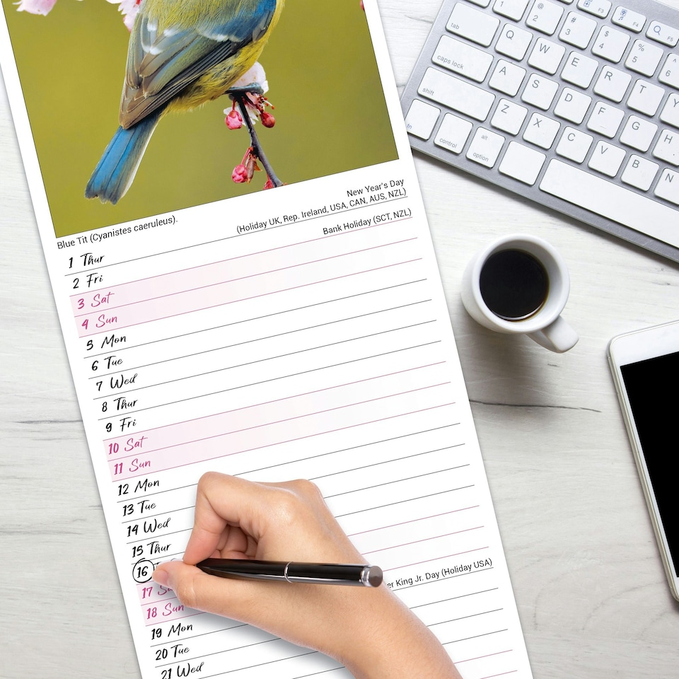 image 1 of Garden Birds Slim 2026 Calendar | Slimline Wall Calendar | Bird Gift | Plastic Free Packaging | by Avonside Publishing [Calendar] Avonside Publishing Ltd