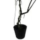 image 3 of Artificial Monstera Plant Twisted Cheese Plant 70cm Leaf Design UK Realistic Botanik