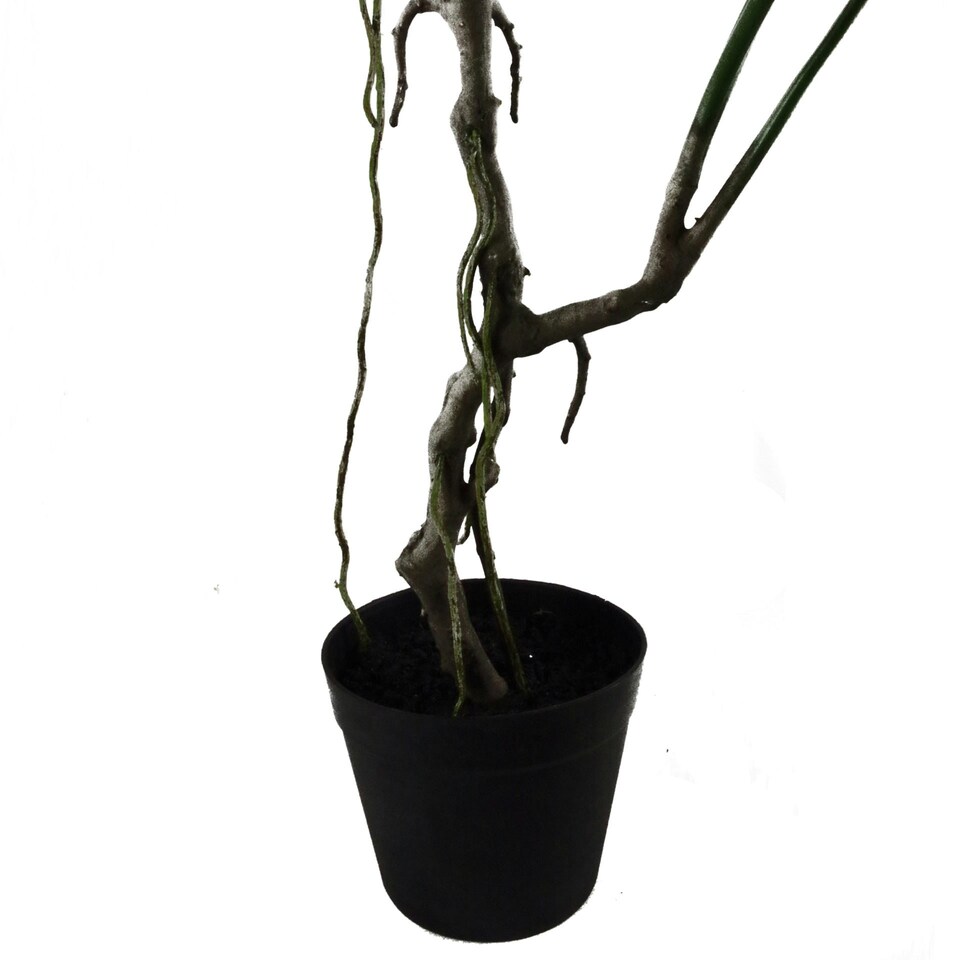 image 1 of Artificial Monstera Plant Twisted Cheese Plant 70cm Leaf Design UK Realistic Botanik