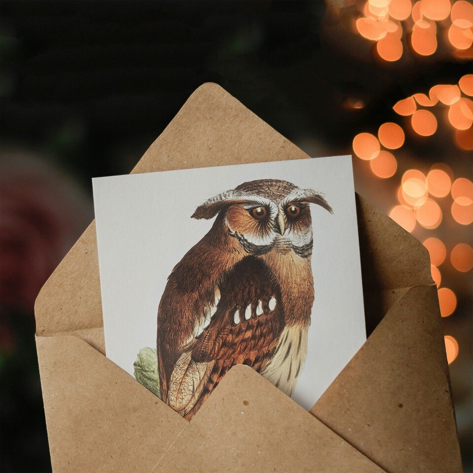 image 1 of Theo van Hoytema Art Card Eagle Owl Perched on a Branch