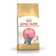 image 4 of Royal Canin Cat British Shorthair Kitten 10KG