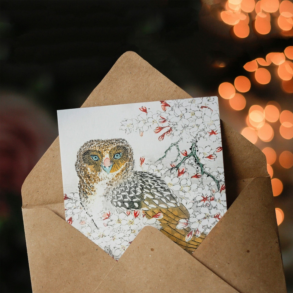 image 1 of Numata Kashu Art Card Short Eared Owl on Cherry Blossom Tree