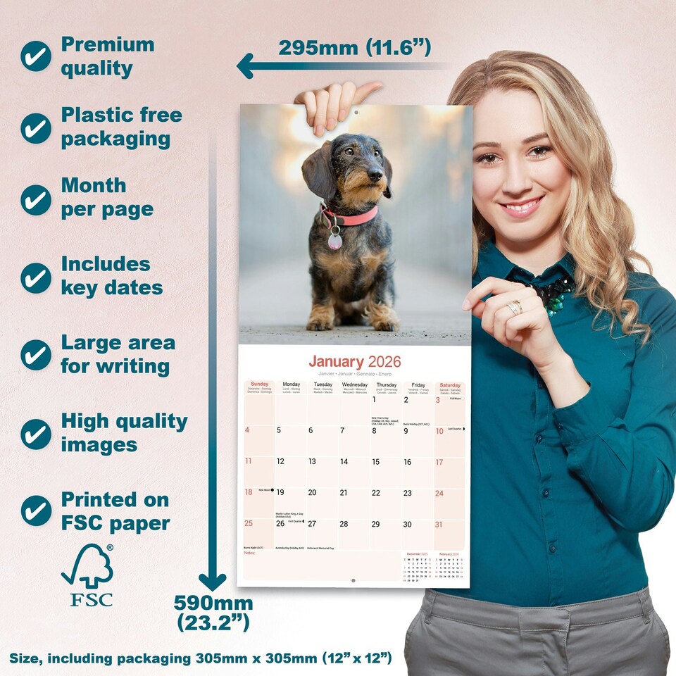 image 1 of Wire Haired Dachshund 2026 Calendar | Square Wall Calendar | Dog Breed Gift | Plastic Free Packaging | by Avonside Publishing