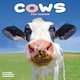 image 1 of Cows 2026 Calendar | Square Wall Calendar | Farm Animal Gift | Plastic Free Packaging | by Avonside Publishing