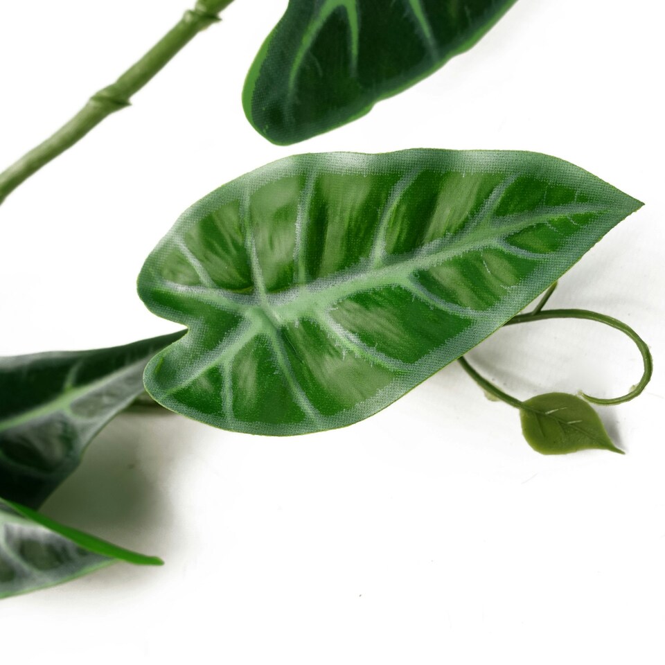 image 1 of Artificial Hanging Trailing Plant Amazonica Plant