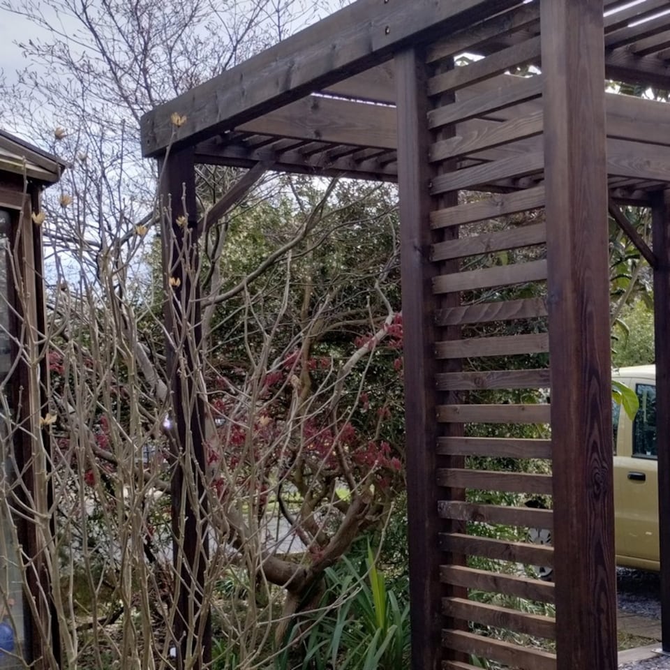 image 1 of Panel Pergola - Wood - L480 x W480 cm - Rustic Brown