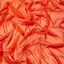 Burnt Orange