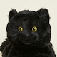 image 4 of Warmies Plush Black Cat LARGE