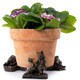 image 1 of Beatrix Potter Plant Pot Feet Antique Bronze Set 3 Brown